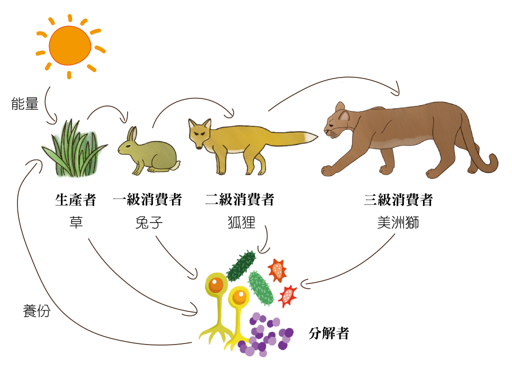 動物篇 Conservation Foundation